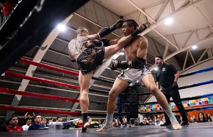 ARTES MARCIALES